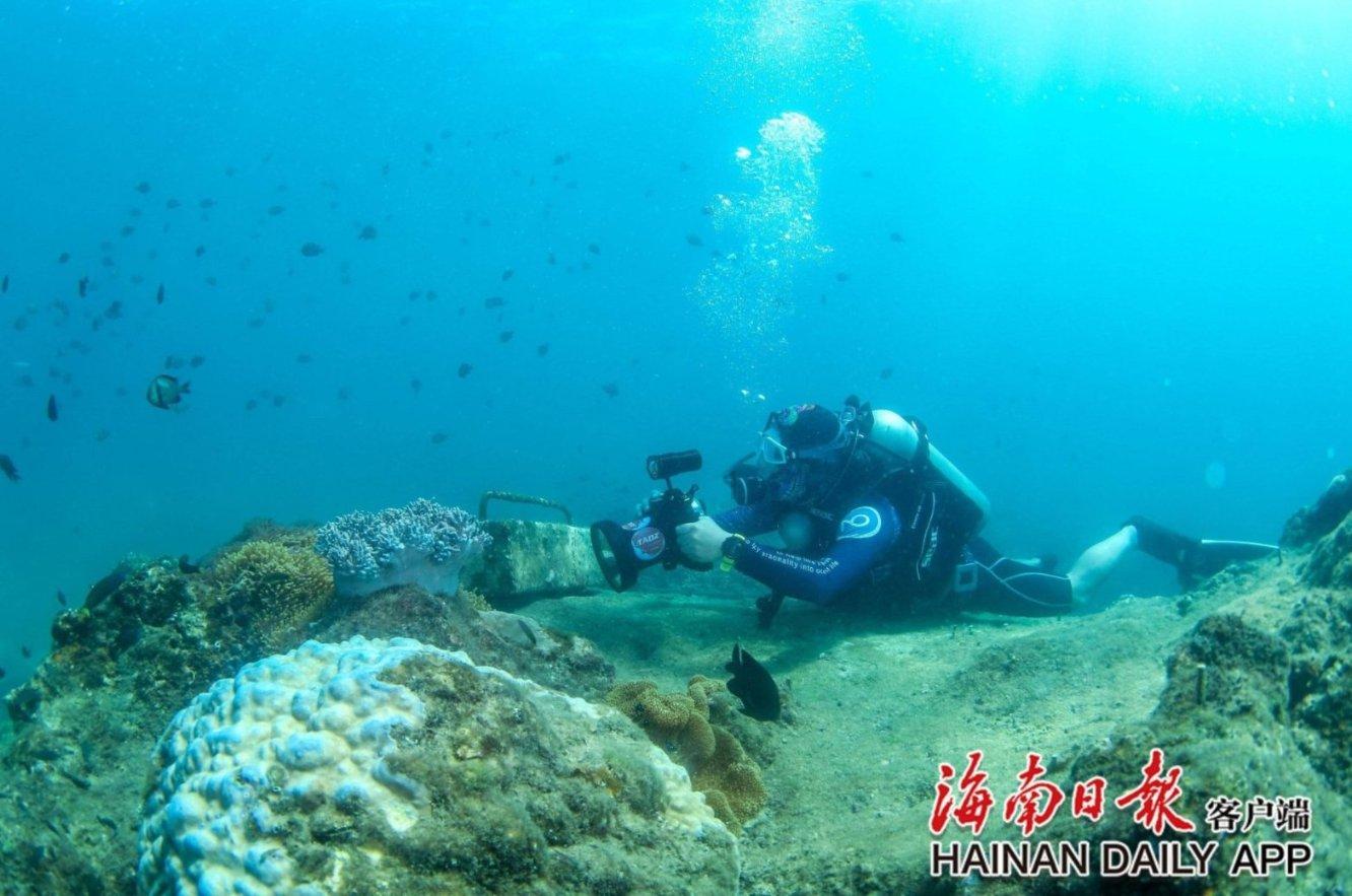 小龙虾的头到底能不能吃？里面真的有毒素吗？游戏画面